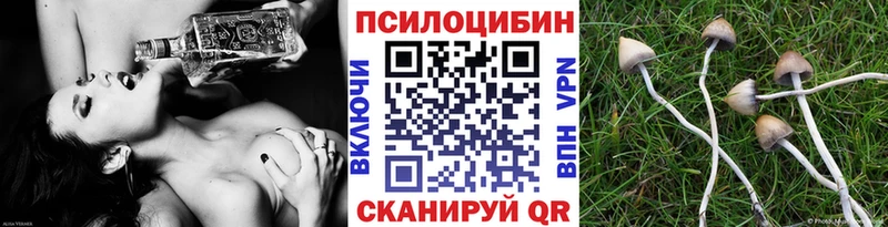 где купить наркотик  Южно-Сахалинск  Псилоцибиновые грибы Psilocybe 
